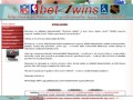 Typy bukmacherskie katalog stron - screen