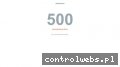 Screenshot strony albatroscargo.pl