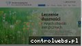 Screenshot strony www.alergolog.lublin.pl