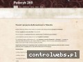 Screenshot strony www.palacyk260.pl