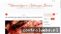 Screenshot strony chillout-shop.pl