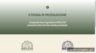 BIELICKI krzewy ozdobne