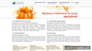 AdWords - reklama w Google