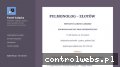 Screenshot strony pulmozlotow.pl