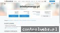 Screenshot strony trinityenergy.pl