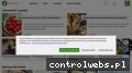 Screenshot strony dzieciakpotrafi.pl