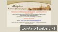 Screenshot strony monety-mcn.pl