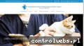 Screenshot strony lecznicachylonia.pl