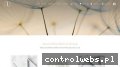 Screenshot strony aurumdg.pl