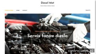 Diesel-Mot - regulacja głowic