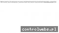 Screenshot strony sanki.com.pl