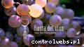 Screenshot strony www.fiestadelvino.pl