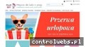 Screenshot strony craftart.com.pl