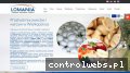 Screenshot strony lomania.fr