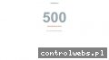 Screenshot strony estiyoclinique.pl