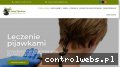 Screenshot strony leczeniepijawkamigdynia.pl