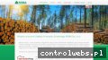 Screenshot strony tartak-roma.pl