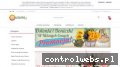 Screenshot strony centrumflorysty.pl