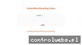 Screenshot strony silscrap.pl