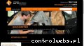 Screenshot strony autowacholc.pl