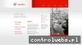 Screenshot strony elektrofach.com