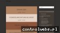 Screenshot strony pg-project.pl