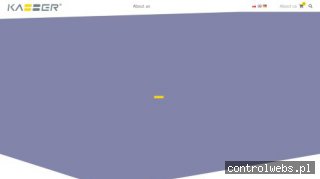 KAPS SP. Z O.O. płyty flekowe