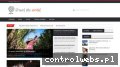 Screenshot strony taniowswiat.pl