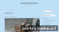 Screenshot strony hetman-luszczow.pl