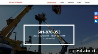 P Lisowski wynajem dźwigów poznań