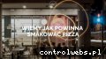 Screenshot strony www.avepizza.pl