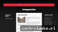 Screenshot strony bramygarazowe.net