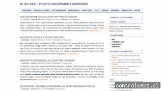 blog seo - pozycjonowanie stron