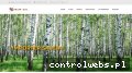Screenshot strony drew-gal.com.pl