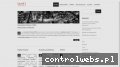 Screenshot strony taxel.com.pl