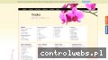 Screenshot strony www.dexplus.pl