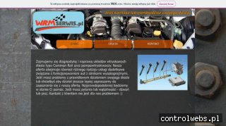 WRM SERWIS WANDA ROGALA-MARCINKOWSKA diagnostyka układów wtryskiwaczy