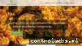 Screenshot strony zolpoddebami.pl