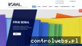 Screenshot strony boral.pl