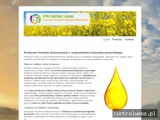 FPH Celiński Jacek tłuszcze techniczne kujawsko-pomorskie