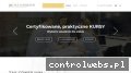 Screenshot strony www.taxconsilium.com