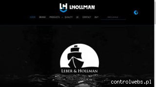 Hollman najnowsze informacje finansowe