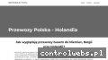 Screenshot strony introducto.pl