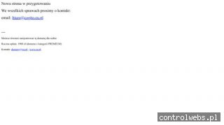 Części do maszyn CAT i Volvo