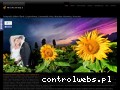 Screenshot strony www.mcplonka.com