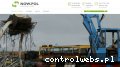 Screenshot strony now-pol.pl