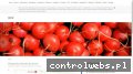 Screenshot strony www.bielskiklubkolarski.pl