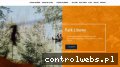 Screenshot strony www.bccross.pl