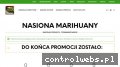 Screenshot strony trawkaseeds.pl