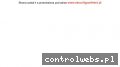 Screenshot strony security-partners.pl